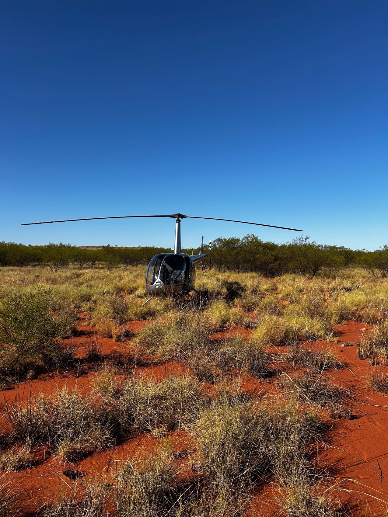 Robinson R44 helicopter in Kimberley bushland